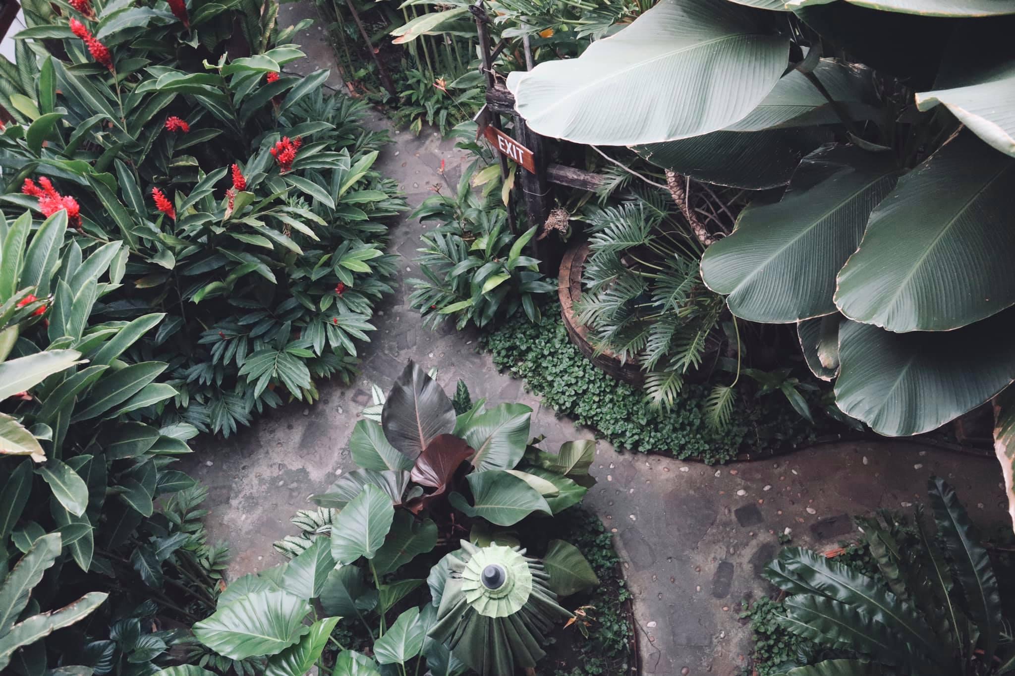 Shewe Wana Suite Resort Chiang Mai Eksteriør bilde
