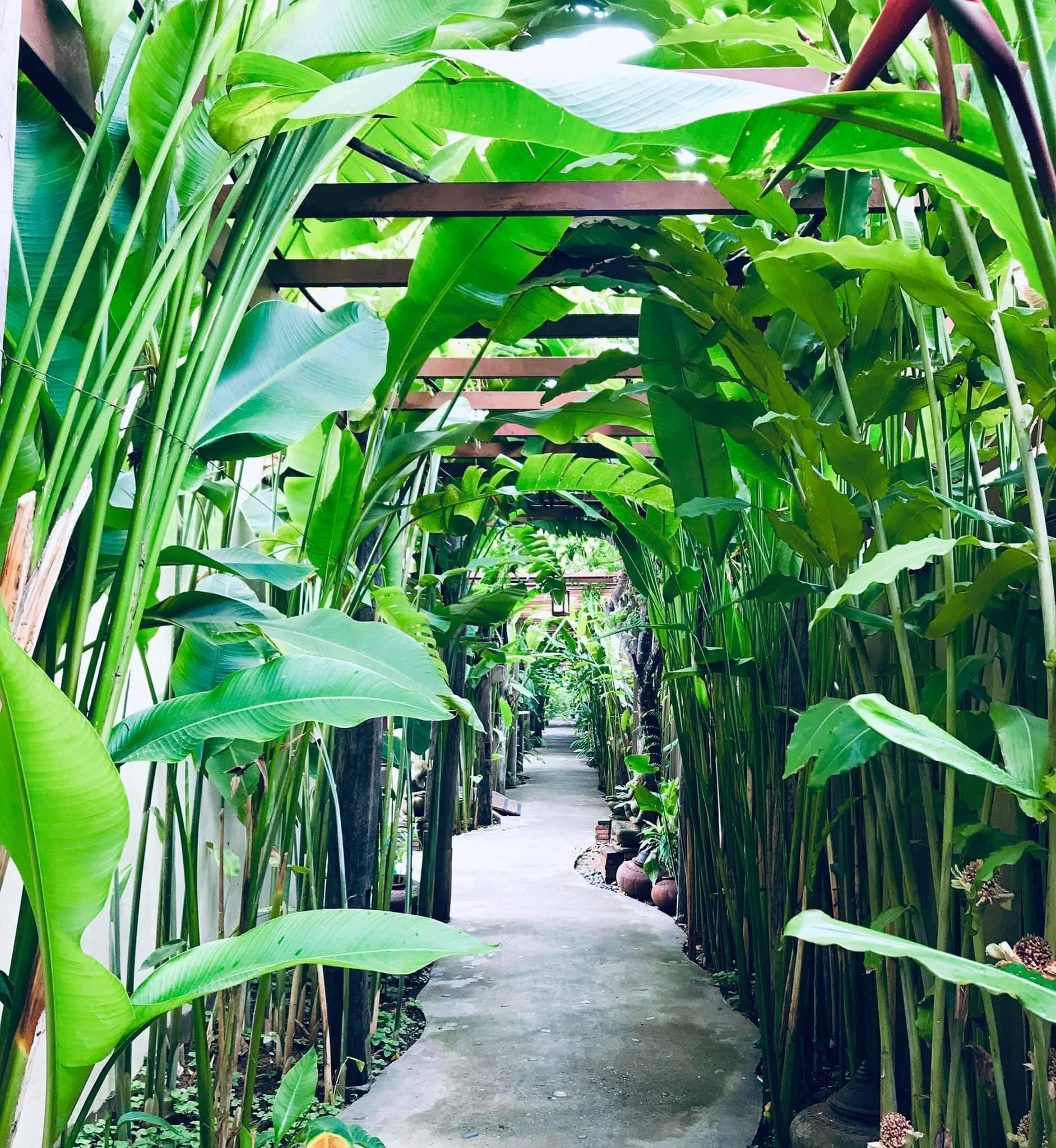 Shewe Wana Suite Resort Chiang Mai Eksteriør bilde